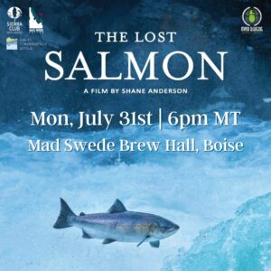 Lost Salmon Film Screening